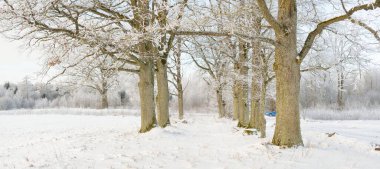 Kırsal alanda, karla kaplı tarlaların içinden geçen köy yolu. Arabadan görüntü. Kar sürükleniyor. Avrupa. Doğa, Noel tatilleri, uzak yerler, kış lastikleri, tehlikeli sürüş konsepti