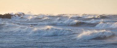 Gün batımında Baltık kıyısı. Yumuşak altın güneş ışığı, parlayan gökyüzü, dalgalar. Idyllic deniz manzarası. Seyahat yerleri, eko turizm, doğa, hava durumu, iklim değişikliği. Resimli panoramik manzara