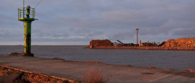 Kargo iskelesine yeni yapılmış odun yükleme. Yük taşımacılığı, lojistik, küresel iletişim, sanayi, ekonomi, ticaret, kereste sanayii, siyaset, yolsuzluk, ekolojik sorunlar