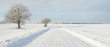 Kırsal alanda, karla kaplı tarlaların içinden geçen köy yolu. Arabadan görüntü. Kar sürükleniyor. Avrupa. Doğa, Noel tatilleri, uzak yerler, kış lastikleri, tehlikeli sürüş konsepti