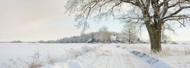 Güneşli bir günde karla kaplı tarlaların ve köyün içinden geçen yol. Arka plandaki kır evleri. Idyllic manzara. Noel tatilleri, eko turizm, yürüyüş, kayak, uzak yerler, off-road teması