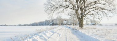 Güneşli bir günde karla kaplı tarlaların ve köyün içinden geçen yol. Arka plandaki kır evleri. Idyllic manzara. Noel tatilleri, eko turizm, yürüyüş, kayak, uzak yerler, off-road teması