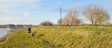 Modern dinlenme alanı, orman parkı, göl. Tahta banklar, masalar. Kamp alanı. Yumuşak güneş ışığı, açık gökyüzü. Baharın başında. Idyllic manzara. Doğa, çevre, ekoloji, eko-turizm, tatiller, hafta sonu