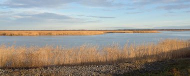 Gün batımında mavi orman gölü (nehir) panoramik hava manzarası. Yumuşak güneş ışığı, berrak gökyüzü, suya yansıyan yansımalar. Baharın başında. İdealist pastoral manzara. Doğa, çevre, ekoloji, eko-turizm