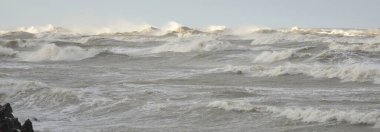 Sis içindeki Baltık Denizi. Dalgalar, su sıçratma, fırtına. Dalgalar, uçan martılar. Resimli panoramik monokrom manzarası, deniz manzarası. Doğa, çevre, sert hava, tehlike