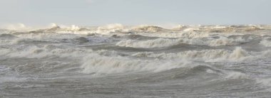 Fırtınadan sonra Baltık Denizi. Gün batımı. Resimli panoramik manzara, deniz manzarası. Doğa, çevre, sert hava, iklim değişikliği