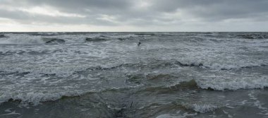 Kumlu sahilden Baltık Denizi manzarası (kum tepeleri). Dramatik gökyüzü, karanlık, parlak bulutlar. Dalgalar, su sıçramaları. Balıkçı tekneleri için eski iskele. Deniz Burnu. Bahar, iklim, doğa