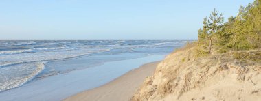 Fırtınadan sonra Baltık Denizi. Kum tepeleri, altın kum tepecikleri, yemyeşil çam ormanı. Resimli manzara, deniz manzarası, doğa. Panoramik manzara. Ekoloji, eko turizm, yürüyüş kavramları