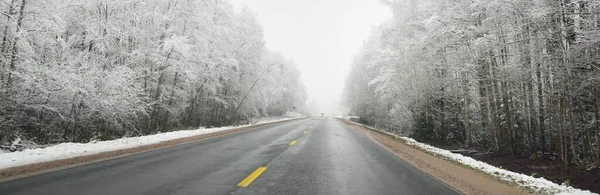 Karla kaplı ormanda boş otoyol (asfalt yol). Kanada mı? Doğa, Noel tatilleri, uzak yerler, kış lastikleri, tehlikeli sürüş konsepti