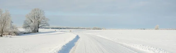 Camino Campo Través Los Campos Cubiertos Nieve Zona Rural Vista — Foto de Stock