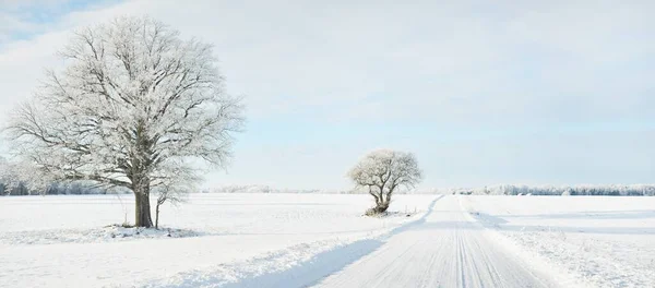 Landweg Door Besneeuwde Velden Landelijk Gebied Zicht Vanuit Auto Sneeuwvlokken — Stockfoto