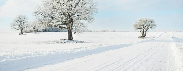 Venkovská Cesta Zasněženými Poli Venkovská Oblast Pohled Auta Sněhové Závěje — Stock fotografie