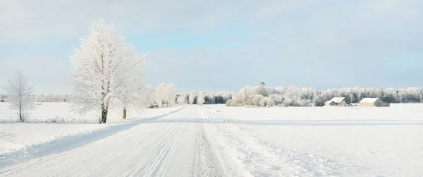 阳光灿烂的日子 穿过白雪覆盖的田野和村庄 后面是乡间别墅 Idyllic景观 圣诞假期 生态旅游 徒步旅行 偏远地区 越野旅行主题 — 图库照片