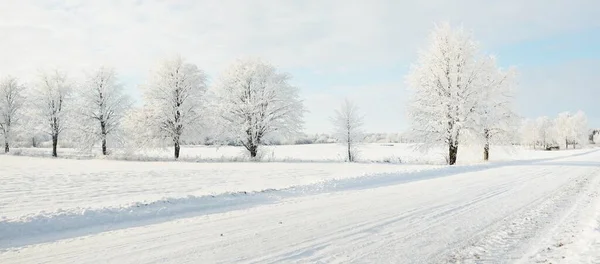 Landstraße Durch Die Schneebedeckten Felder Ländliche Gegend Blick Aus Dem — Stockfoto