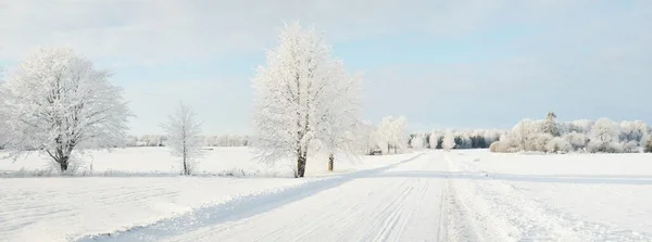 Country Road Snow Covered Fields Rural Area View Car Snow — Stock Photo, Image