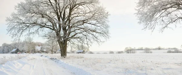 Güneşli bir günde karla kaplı tarlaların ve köyün içinden geçen yol. Arka plandaki kır evleri. Idyllic manzara. Noel tatilleri, eko turizm, yürüyüş, kayak, uzak yerler, off-road teması