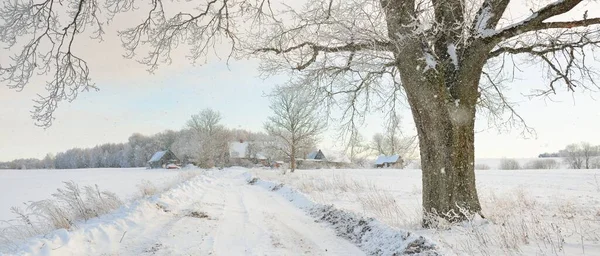 Güneşli bir günde karla kaplı tarlaların ve köyün içinden geçen yol. Arka plandaki kır evleri. Idyllic manzara. Noel tatilleri, eko turizm, yürüyüş, kayak, uzak yerler, off-road teması