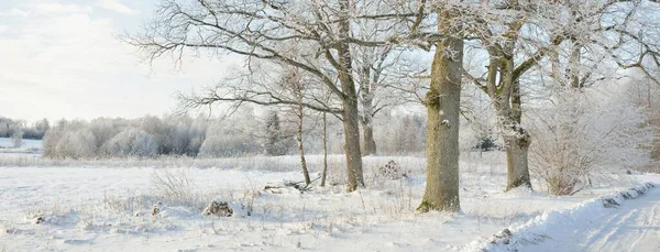 Kırsal alanda, karla kaplı tarlaların içinden geçen köy yolu. Arabadan görüntü. Kar sürükleniyor. Avrupa. Doğa, Noel tatilleri, uzak yerler, kış lastikleri, tehlikeli sürüş konsepti