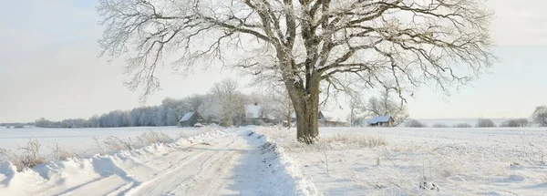 Güneşli bir günde karla kaplı tarlaların ve köyün içinden geçen yol. Arka plandaki kır evleri. Idyllic manzara. Noel tatilleri, eko turizm, yürüyüş, kayak, uzak yerler, off-road teması