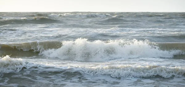Gün batımında Baltık Denizi. Dramatik gökyüzü, mavi ve pembe parlayan bulutlar, altın güneş ışığı. Dalgalar, su sıçratma. Resimli manzara, deniz manzarası, doğa. Panoramik görünüm,