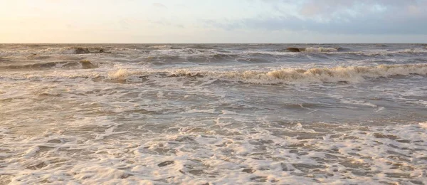 Gün batımında Baltık Denizi. Dramatik gökyüzü, mavi ve pembe parlayan bulutlar, altın güneş ışığı. Dalgalar, su sıçratma. Resimli manzara, deniz manzarası, doğa. Panoramik görünüm,