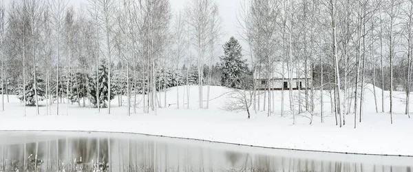 Forest River Lonely Modern Traditional House Cloudy Winter Day Blizzard —  Fotos de Stock