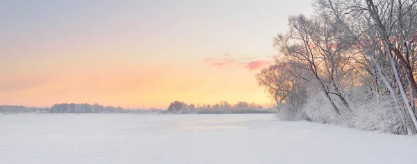 Atmospheric Landscape Snow Covered Field Forest Meadow Sunrise Pure Golden — Fotografia de Stock