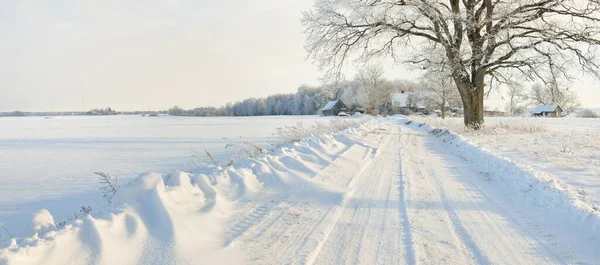 Veien Gjennom Snødekte Markene Landsbyen Solrik Dag Landhus Bakgrunnen Idyllisk – stockfoto