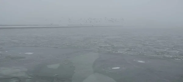 Baltic Sea Fog Waves Splashing Water Storm Natural Textures Picturesque — Foto de Stock