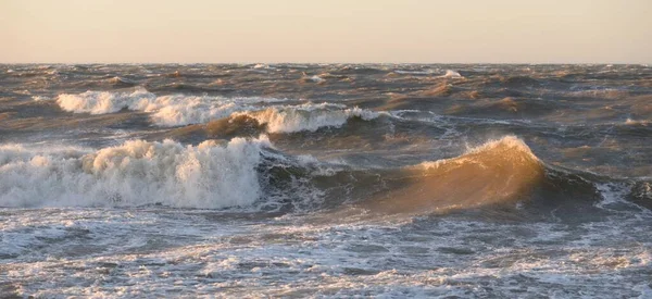 日落时分 波罗的海海岸 柔和的金色阳光 明亮的天空 Idyllic海景 旅游目的地 生态旅游 气候变化 风景如画的全景 — 图库照片