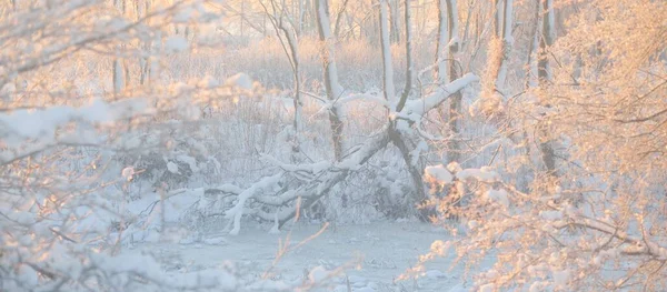 Gün Doğumunda Karla Kaplı Orman Aşırı Gelişmiş Tepeler Donmuş Nehir — Stok fotoğraf
