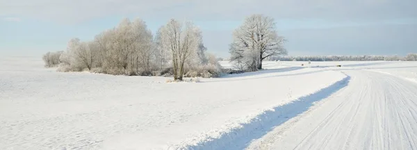 Landsväg Genom Snötäckta Fält Landsbygd Utsikt Från Bilen Snö Driver — Stockfoto