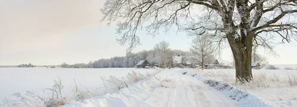 Güneşli bir günde karla kaplı tarlaların ve köyün içinden geçen yol. Arka plandaki kır evleri. Idyllic manzara. Noel tatilleri, eko turizm, yürüyüş, kayak, uzak yerler, off-road teması