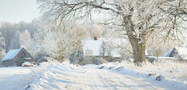 Pathway Snow Covered Fields Village Sunny Day Country Houses Background — Foto de Stock