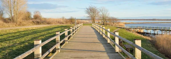 Modern ahşap yürüyüş yolu (bisiklet yolu, tahta yol). Eğlence alanı, orman parkı. Yumuşak güneş ışığı, açık gökyüzü. Baharın başında. Idyllic manzara. Doğa, çevre, ekoloji, eko-turizm, tatiller, hafta sonu