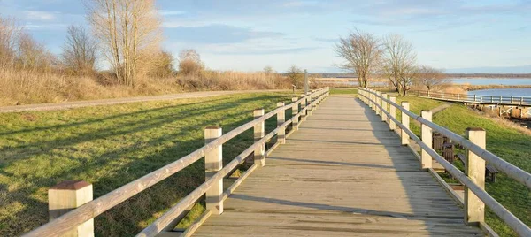 Modern ahşap yürüyüş yolu (bisiklet yolu, tahta yol). Eğlence alanı, orman parkı. Yumuşak güneş ışığı, açık gökyüzü. Baharın başında. Idyllic manzara. Doğa, çevre, ekoloji, eko-turizm, tatiller, hafta sonu
