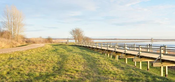 Modern ahşap yürüyüş yolu (bisiklet yolu, tahta yol). Eğlence alanı, orman parkı. Yumuşak güneş ışığı, açık gökyüzü. Baharın başında. Idyllic manzara. Doğa, çevre, ekoloji, eko-turizm, tatiller, hafta sonu