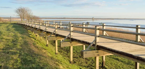 Modern ahşap yürüyüş yolu (bisiklet yolu, tahta yol). Eğlence alanı, orman parkı. Yumuşak güneş ışığı, açık gökyüzü. Baharın başında. Idyllic manzara. Doğa, çevre, ekoloji, eko-turizm, tatiller, hafta sonu