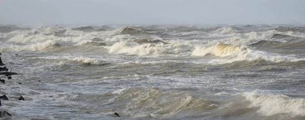 Fırtınadan sonra Baltık Denizi. Gün batımı. Resimli panoramik manzara, deniz manzarası. Doğa, çevre, sert hava, iklim değişikliği