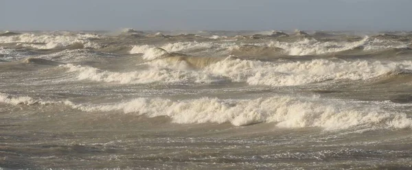 Fırtınadan sonra Baltık Denizi. Gün batımı. Resimli panoramik manzara, deniz manzarası. Doğa, çevre, sert hava, iklim değişikliği