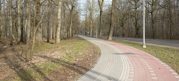 Modern Winding Pedestrian Walkway Bicycle Road Forest Park Early Spring — Stockfoto