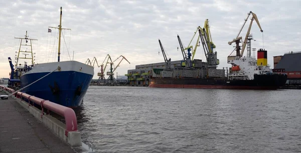 貨物ポートターミナルに固定されたトレーラー吸引ホッパー浚渫船と大型船 ばら積み貨物船 背景に鶴 ラトビアのベントスピルス 貨物輸送 — ストック写真