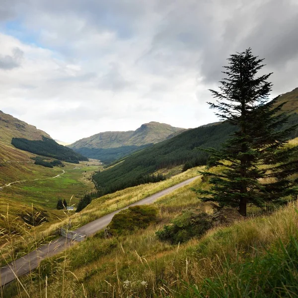 Kilátás Völgyek Erdők Hegyek Loch Lomond Trossachs Nemzeti Park Egy — Stock Fotó