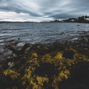 Crinan Kanalı 'nın kayalık sahili. Evler arka planda. Ardrishaig, Argyll ve Bute, İskoçya, İngiltere. Karanlık, dramatik gökyüzü. Seyahat yerleri, turizm, turizm. Yelken, gemi gezisi