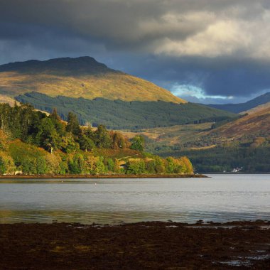 Bulutlu bir günde Loch Fyne yakınlarındaki sahil, orman ve tepelerin manzarası. Inveraray, Inner Hebrides, Argyll ve Bute, İskoçya, İngiltere