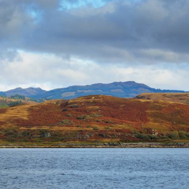 Sudan kayalık nehir kıyılarının panoramik görüntüsü. Arka planda ağaçlar, tepeler ve dağlar var. Bulutlu mavi gökyüzü. Gare Loch, Clyde Firth, İskoçya, İngiltere
