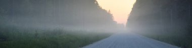 Gün doğumunda sisli bir havada tarlalardan ve ormandan geçen köy yolu. Yumuşak güneş ışığı. Kırsal alan. Altyapı, uzak yerler, köy, yol gezisi, turizm, rota, lojistik, özgürlük kavramları