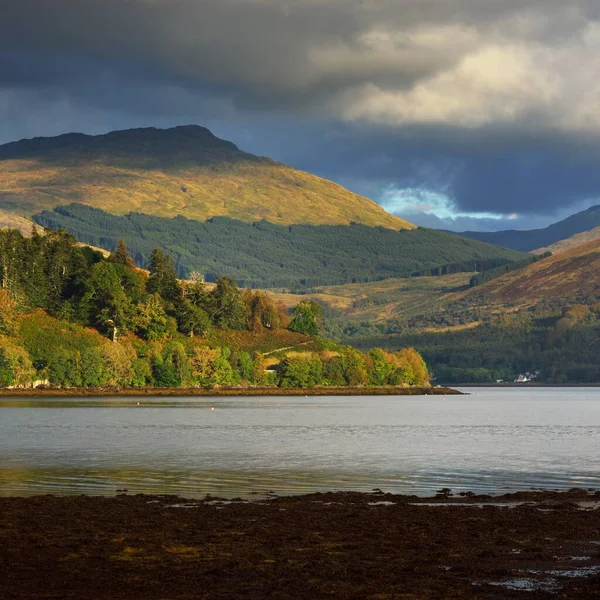 Bulutlu bir günde Loch Fyne yakınlarındaki sahil, orman ve tepelerin manzarası. Inveraray, Inner Hebrides, Argyll ve Bute, İskoçya, İngiltere