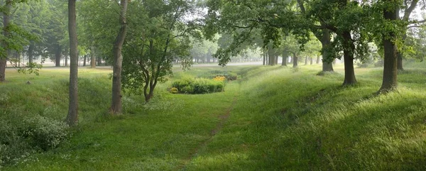 Panoramiczny Widok Zielony Ogród Botaniczny Arboretum Słoneczny Letni Dzień Deszczu — Zdjęcie stockowe