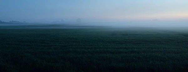 Campo Campo Césped Forestal Prado Una Niebla Atardecer Salida Luna — Foto de Stock